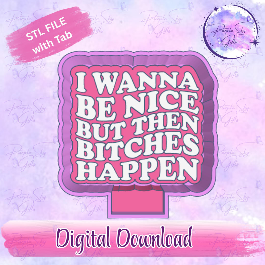 I Wanna Be Nice But Then Bitches Happen Freshie Mold Housing STL Digital File