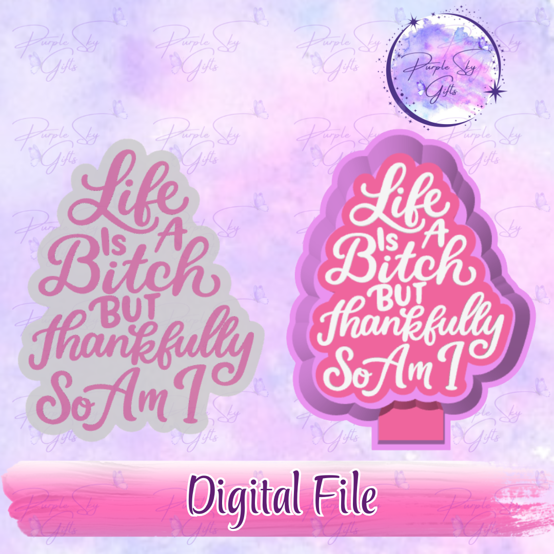 Life Is A Bitch But Thankfully So Am I Freshie Mold Housing STL Digital File