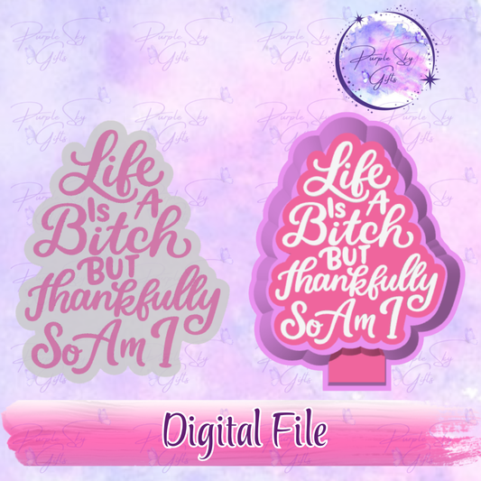 Life Is A Bitch But Thankfully So Am I Freshie Mold Housing STL Digital File