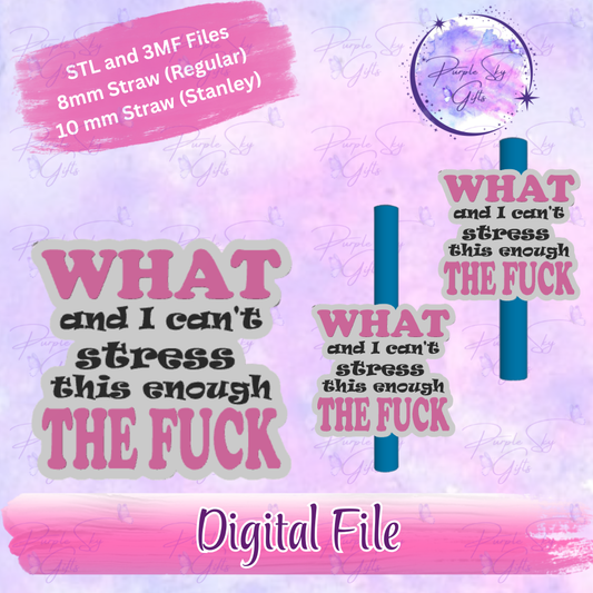 WTF What and I can't stress this enough The Fuck 8mm and 10mm STL and 3MF DIGITAL FILES For Straw Topper